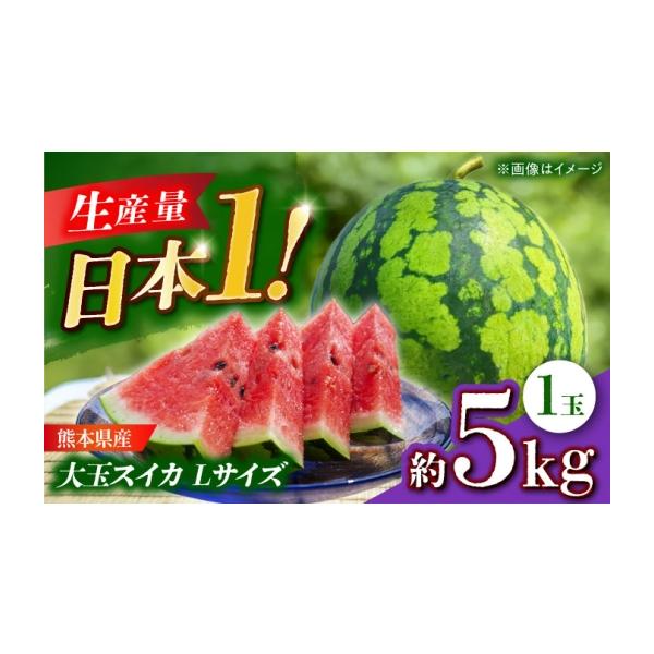 スイカ 熊本県 山鹿市 先行予約 大玉スイカ Lサイズ 1玉入り 約5kg すいか 大玉 熊本 フルーツ 野菜 果物 日本フルーツ株式会社 ZFJ045