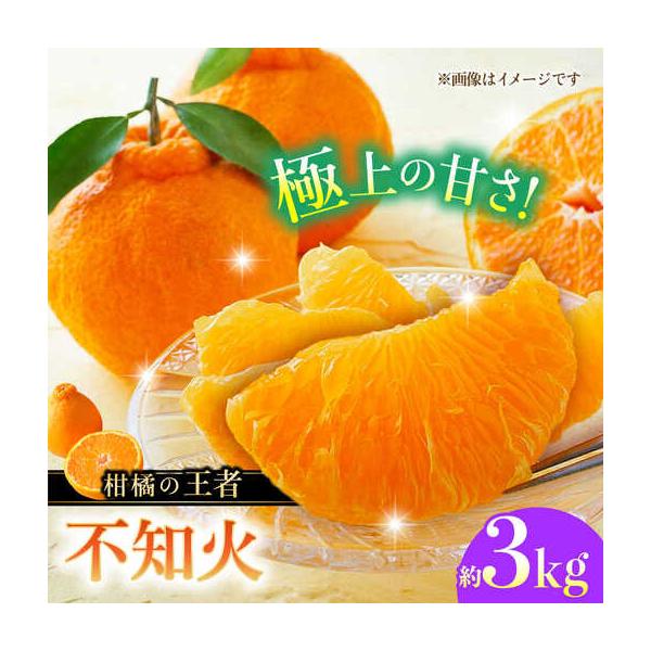 【先行予約】 不知火 約3kg 柑橘 みかん 蜜柑 熊本 フルーツ 果物 【日本フルーツ株式会社】【ZFJ035】 熊本県山鹿市
