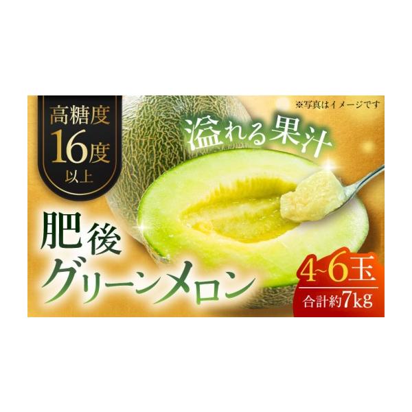メロン メロン青肉 熊本県 山鹿市 先行予約 肥後グリーンメロン 約7kg(4〜6玉入) メロン グリーンメロン フルーツ 熊本県産 日本フルーツ株式会…