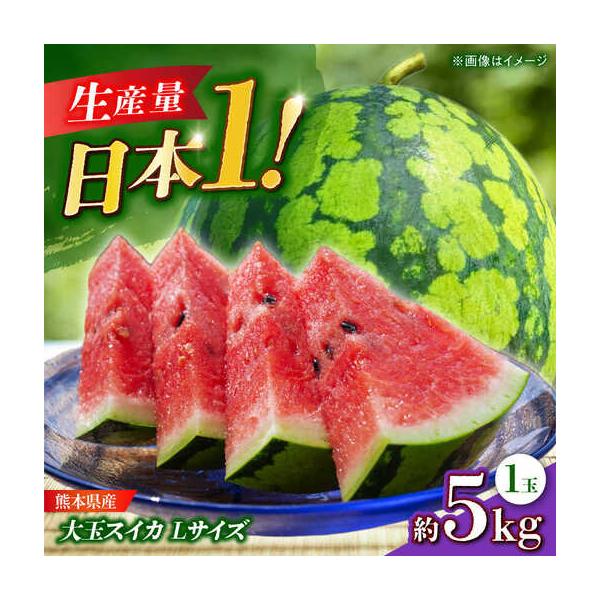 【先行予約】 大玉スイカ Lサイズ 1玉入り 約5kg すいか 大玉 熊本 フルーツ 野菜 果物 【日本フルーツ株式会社】【ZFJ045】 熊本県山鹿市