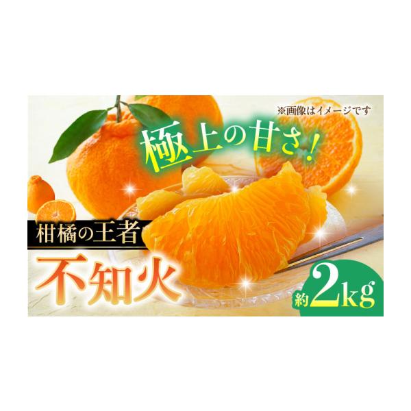 果物類 みかん 熊本県 山鹿市 先行予約 不知火 約2kg 柑橘 蜜柑 みかん フルーツ 日本フルーツ株式会社 1万円以下 10000円以下 ZFJ001