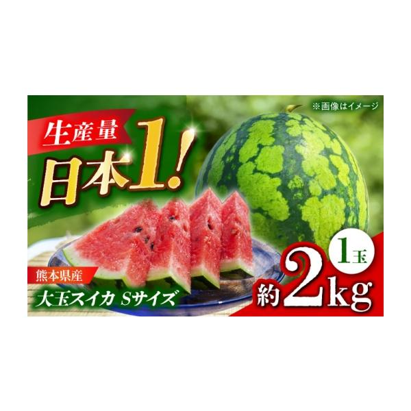 スイカ 熊本県 山鹿市 先行予約 大玉スイカ Sサイズ 1玉入り 約2kg すいか 小玉 熊本 フルーツ 野菜 果物 日本フルーツ株式会社 1万円以下 1000…