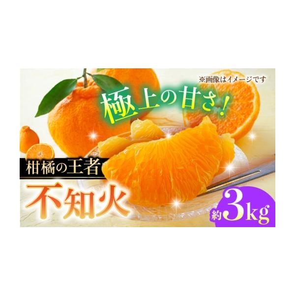 果物類 みかん 熊本県 山鹿市 先行予約 不知火 約3kg 柑橘 みかん 蜜柑 熊本 フルーツ 果物 日本フルーツ株式会社 1万円以下 10000円以下 ZFJ03…