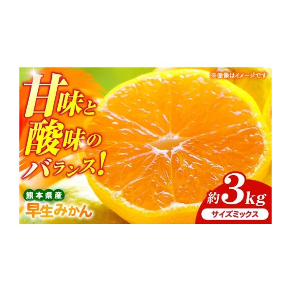 果物類 みかん 熊本県 山鹿市 先行予約 早生みかん 2S-2L 約3kg みかん 蜜柑 柑橘 フルーツ 果物 日本フルーツ株式会社 1万円以下 10000円以下 …