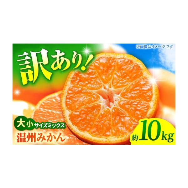果物類 みかん 熊本県 山鹿市 先行予約 温州みかん 訳あり サイズミックス 3S-3L 約10kg みかん 蜜柑 サイズ 不選別 家庭用 柑橘 フルーツ 果物…