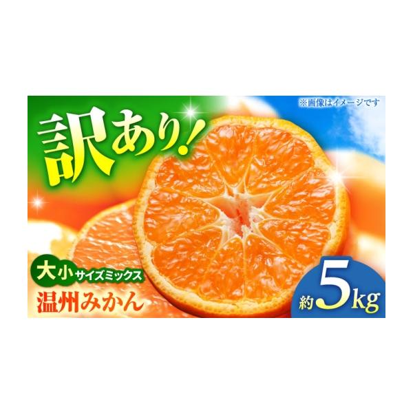果物類 みかん 熊本県 山鹿市 先行予約 温州みかん 訳あり サイズミックス 3S-3L 約5kg みかん 蜜柑 サイズ 不選別 家庭用 柑橘 フルーツ 果物 …
