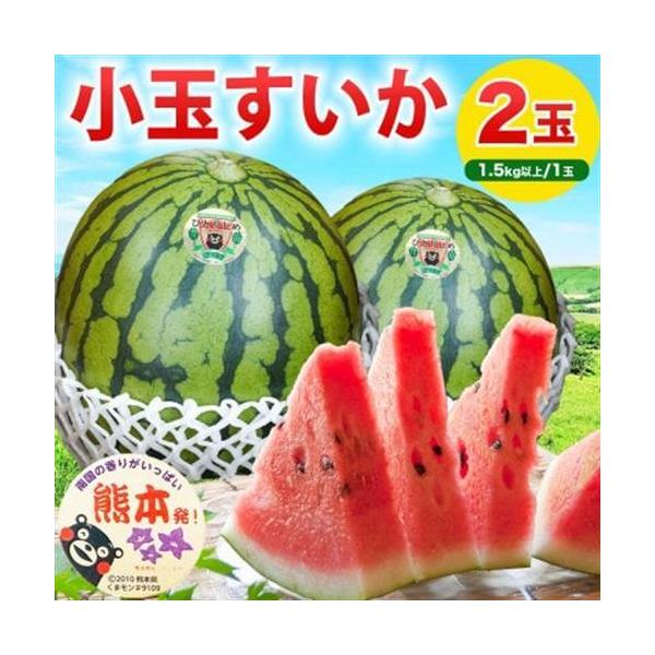 【先行予約】 熊本県産 高糖度! 美味しさひとりじめ 小玉すいか 2玉入り 3Lサイズ 約3kg以上【1684316】 熊本県益城町