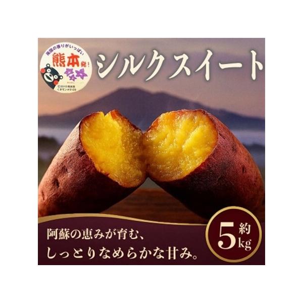 シルクスイート さつまいも 約5kg(益城町)【1689373】 熊本県益城町