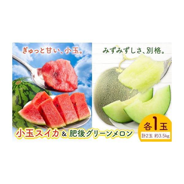 果物の詰合せ 熊本県 菊池市 小玉スイカ&肥後グリーンメロン 食べ比べ 各1玉(計2玉 約3.5kg) 日本フルーツ株式会社 《5月中旬-7月末頃出荷》…