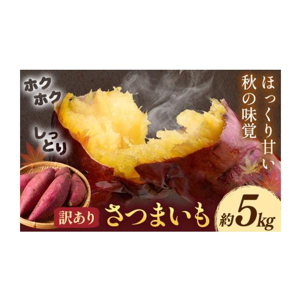 野菜類 サツマイモ 熊本県 菊池市 先行予約 訳あり さつまいも 約5kg 日本フルーツ株式会社《2026年10月上旬-11月中旬頃出荷》熊本県 菊池市 さ…