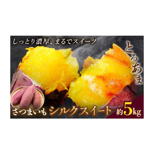 野菜類 サツマイモ 熊本県 菊池市 先行予約 シルクスイート さつまいも 約5kg 日本フルーツ株式会社《2026年11月上旬-12月中旬頃出荷》熊本県 …