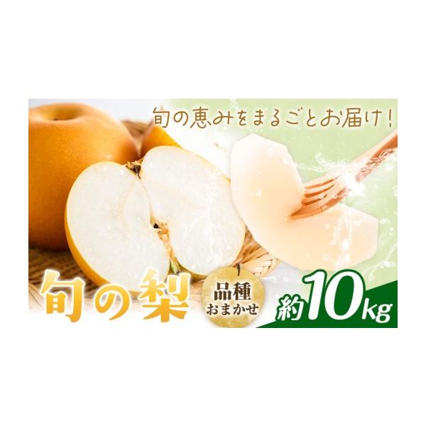 梨 熊本県 菊池市 先行予約 旬の梨 品種おまかせ 約10kg 日本フルーツ株式会社《2027年8月上旬-10月上旬頃出荷》熊本県 菊池市 梨 なし 豊水 秋…