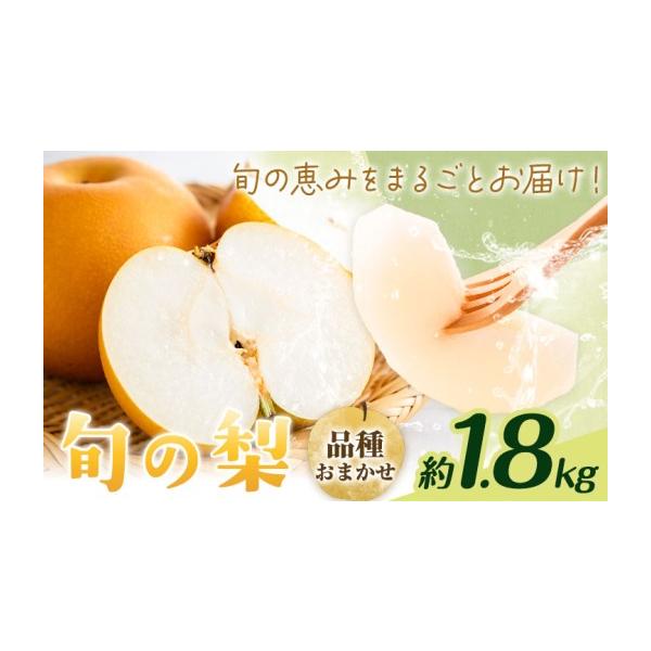 梨 熊本県 菊池市 先行予約 旬の梨 品種おまかせ 約1.8kg 日本フルーツ株式会社《2027年8月上旬-10月上旬頃出荷》熊本県 菊池市 梨 なし 豊水 …
