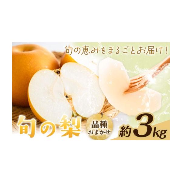 梨 熊本県 菊池市 先行予約 旬の梨 品種おまかせ 約3kg 日本フルーツ株式会社《2027年8月上旬-10月上旬頃出荷》熊本県 菊池市 梨 なし 豊水 秋…