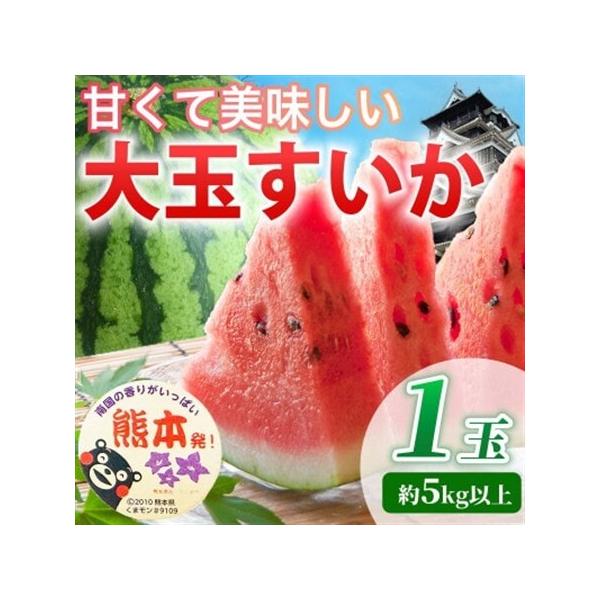 【先行予約】 熊本県産 暑い季節の水分補給に! 大玉すいか 1玉入り L以上 約5kg以上(益城町)【1684323】 熊本県益城町