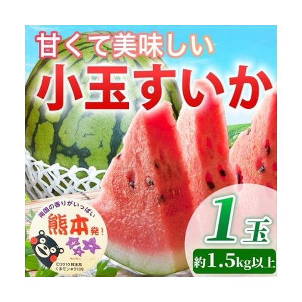 【先行予約】 熊本県産 高糖度! 美味しさひとりじめ! 小玉すいか 1玉入り 約1.5kg以上【1684315】 熊本県益城町