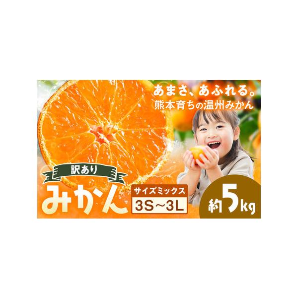 訳あり 温州みかん サイズミックス 3S 〜 3L 約5kg 日本フルーツ株式会社《10月中旬-2月下旬頃出荷》熊本県 荒尾市 みかん 温州み.. 熊本県荒尾市