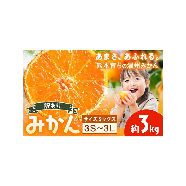訳あり 温州みかん サイズミックス 3S 〜 3L 約3kg 日本フルーツ株式会社《10月中旬-2月下旬頃出荷予定》熊本県 荒尾市 みかん 温.. 熊本県荒尾市