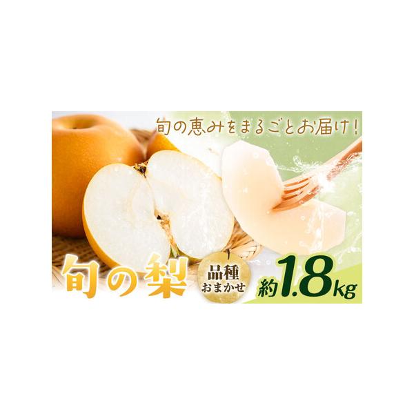 【先行予約】旬の梨 品種おまかせ 約1.8kg 日本フルーツ株式会社《2027年8月上旬-10月上旬頃出荷》熊本県 菊池市 梨 なし 豊水 秋.. 熊本県菊池市