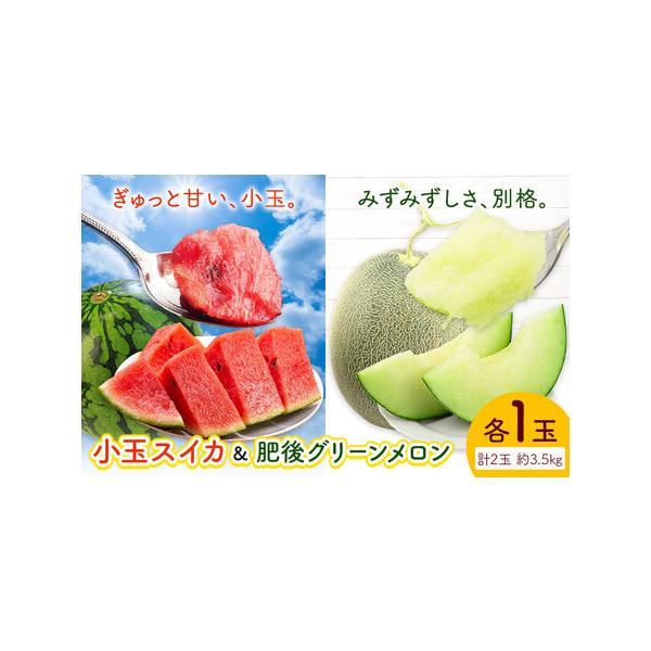 小玉スイカ&肥後グリーンメロン 食べ比べ 各1玉(計2玉 約3.5kg) 日本フルーツ株式会社 《5月中旬-7月末頃出荷》 熊本県 菊池.. 熊本県菊池市