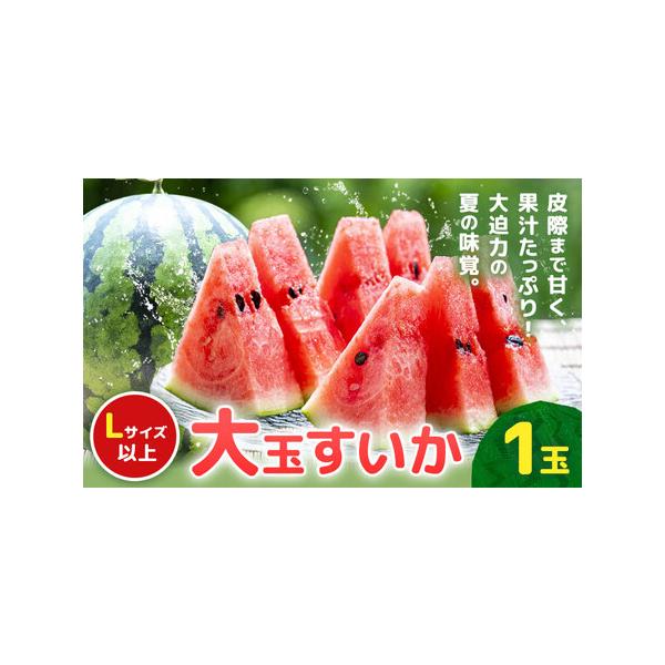 【先行予約】大玉すいか 1玉約5kg 日本フルーツ株式会社《5月上旬-６月下旬頃出荷》熊本県 菊池市 すいか スイカ 大玉 熊本県産 熊本県菊池市