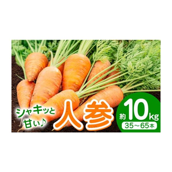 野菜類 人参 熊本県 菊池市 先行予約 人参 約10kg (35-65本) 日本フルーツ株式会社《4月上旬-7月上旬頃出荷》熊本県 菊池市 にんじん ニンジン …