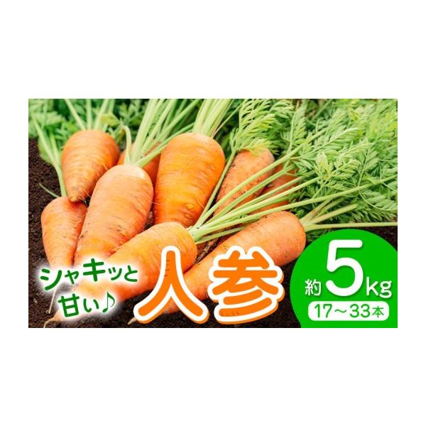 野菜類 人参 熊本県 菊池市 先行予約 人参 約5kg (17-33本) 日本フルーツ株式会社《4月上旬-6月上旬頃出荷》熊本県 菊池市 にんじん ニンジン …