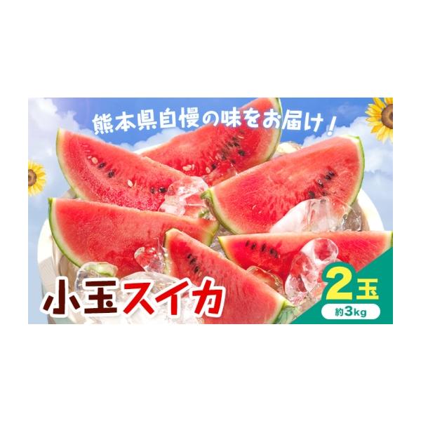 スイカ 熊本県 菊池市 先行予約 小玉スイカ 2玉 約3kg 日本フルーツ株式会社 《4月中旬-7月下旬頃出荷》 こだますいか 西瓜 すいか フルーツ 果…