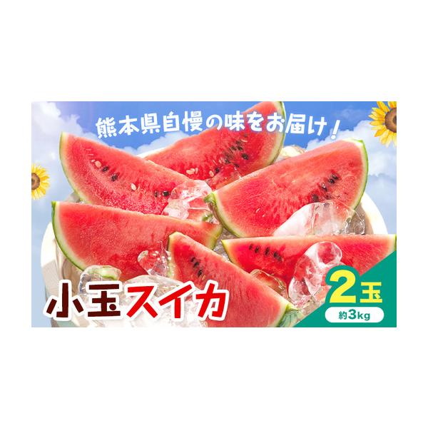 【先行予約】小玉スイカ 2玉 約3kg 日本フルーツ株式会社 《4月中旬-7月下旬頃出荷》 こだますいか 西瓜 すいか フルーツ 果物 く.. 熊本県菊池市