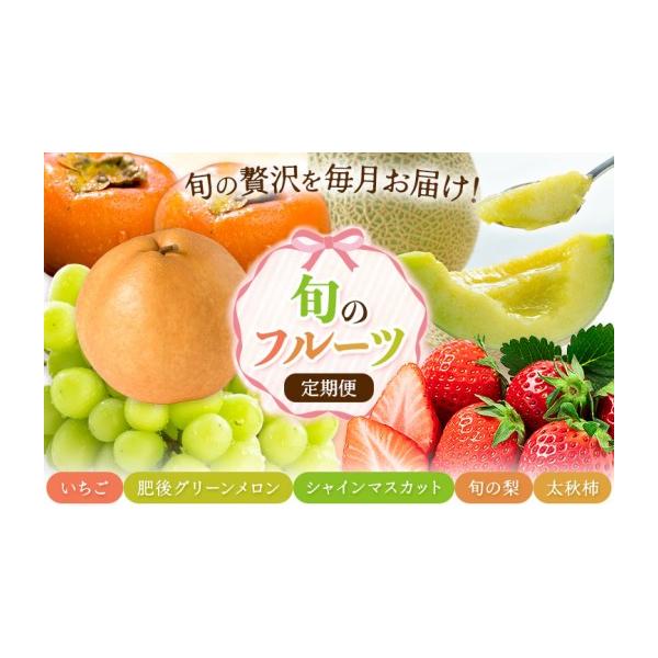 いちご 熊本県 菊池市 5回定期便 旬のフルーツ定期便 いちご メロン 梨 シャインマスカット 柿 日本フルーツ株式会社《2027年1月中旬-11月中旬… 約250g〜4kg / 約1kg / 約4kg / 約1.2kg / 約3kg / 約2kg / 250g×4パック / 2玉 / 5〜12玉 / 4〜8玉 / 4L