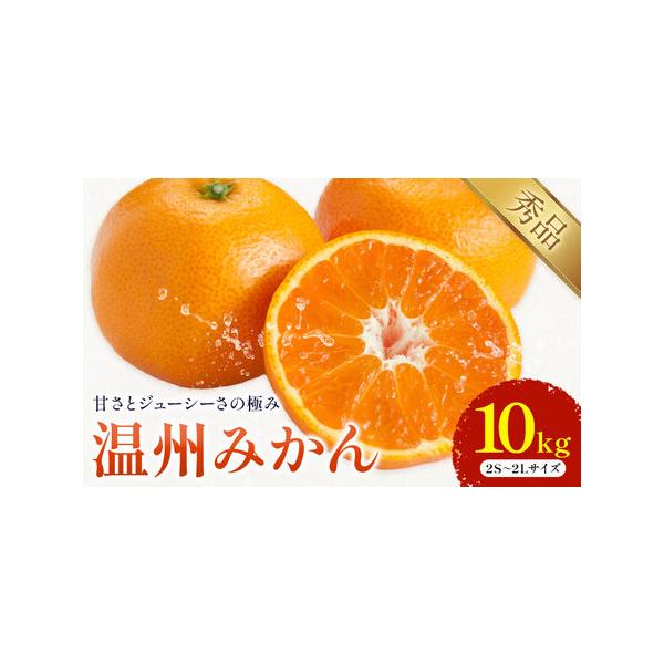 温州みかん 約10kg みかん 日本フルーツ株式会社 熊本県荒尾市