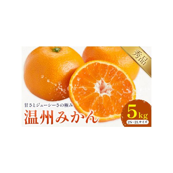 温州みかん 約5kg みかん 日本フルーツ株式会社 熊本県荒尾市