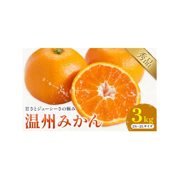 温州みかん 約3kg みかん 日本フルーツ株式会社 熊本県荒尾市