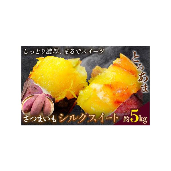 【先行予約】シルクスイート さつまいも 約5kg 日本フルーツ株式会社《2026年11月上旬-12月中旬頃出荷》熊本県 菊池市 さつまいも .. 熊本県菊池市