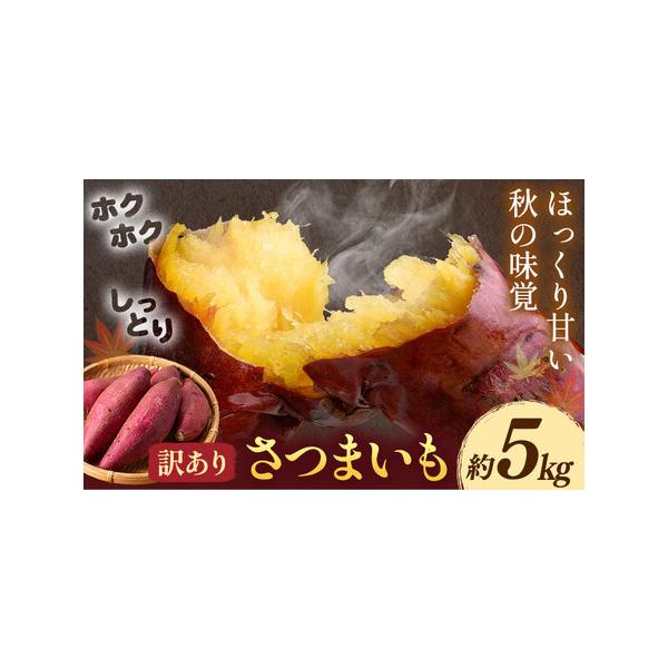 【先行予約】訳あり さつまいも 約5kg 日本フルーツ株式会社《2026年10月上旬-11月中旬頃出荷》熊本県 菊池市 さつまいも サツマイ.. 熊本県菊池市
