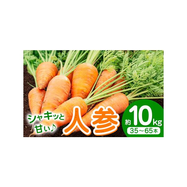 【先行予約】人参 約10kg (35-65本) 日本フルーツ株式会社《4月上旬-7月上旬頃出荷》熊本県 菊池市 にんじん ニンジン 野菜 熊本県.. 熊本県菊池市