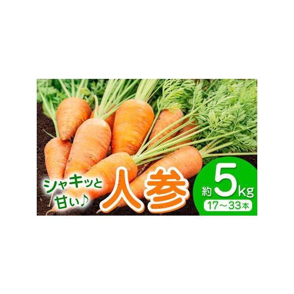 【先行予約】人参 約5kg (17-33本) 日本フルーツ株式会社《4月上旬-6月上旬頃出荷》熊本県 菊池市 にんじん ニンジン 野菜 熊本県.. 熊本県菊池市
