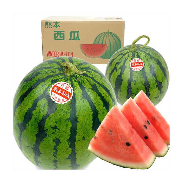 ふるさと納税 ＜ R8年熊本地震復興支援 ＞熊本県産 大玉スイカ 1玉 （3L以上・約8kg） 【2027年5月上旬〜6月下旬迄発送予定】 大玉西瓜 大玉すい.. 熊本県熊本市