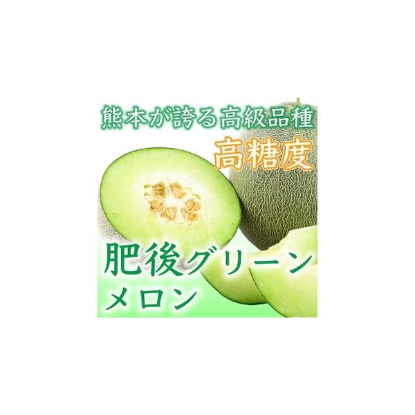 肥後グリーンメロン 2玉 4L以上 （ 約4kg ） メロン めろん グリーンメロン 青肉メロン 果物 くだもの フルーツ 果実 果肉 果汁 甘.. 熊本県熊本市