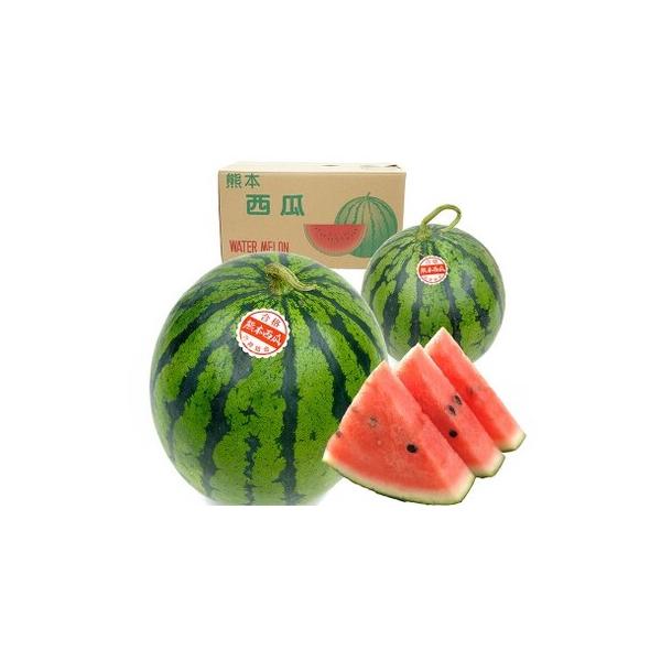 大玉すいか 1玉入り L以上 約5kg スイカ すいか 西瓜 熊本すいか 大玉 果物 くだもの フルーツ プレミアムフルーツ 果肉 果汁 甘み.. 熊本県熊本市