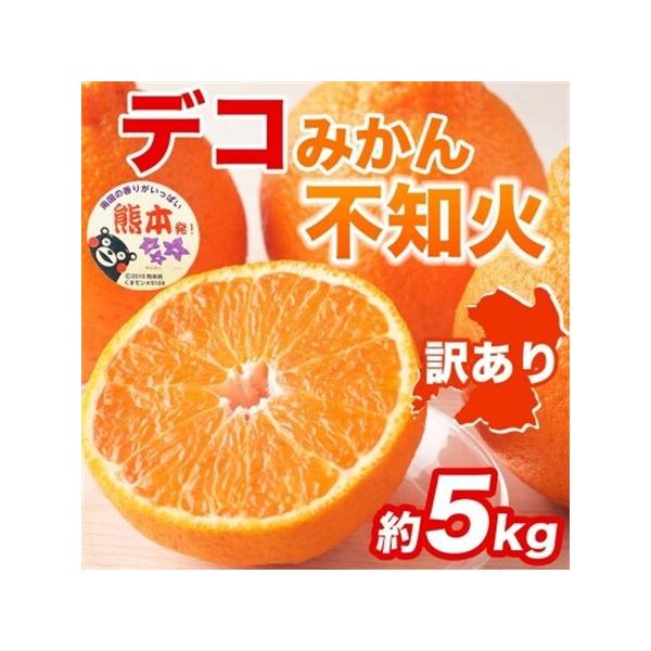 【先行予約】熊本県産 訳あり 不知火 濃厚な甘み!と爽やかな酸味! デコみかん 約5kg(益城町)【1726340】 熊本県益城町