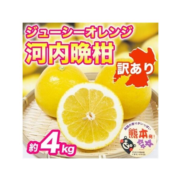 河内晩柑(ジューシーオレンジ)みかん 訳あり 約4kg(益城町)【1726321】 熊本県益城町