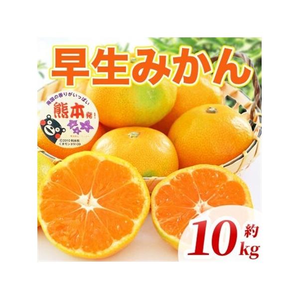 早生みかん 2S〜2L 約10kg(益城町)【1725650】 熊本県益城町