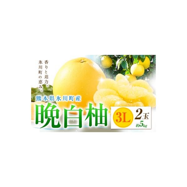 氷川町 柑橘 晩白柚 3L 2玉 5kg 日本フルーツ株式会社《12月上旬-2月末頃出荷》 約5kg