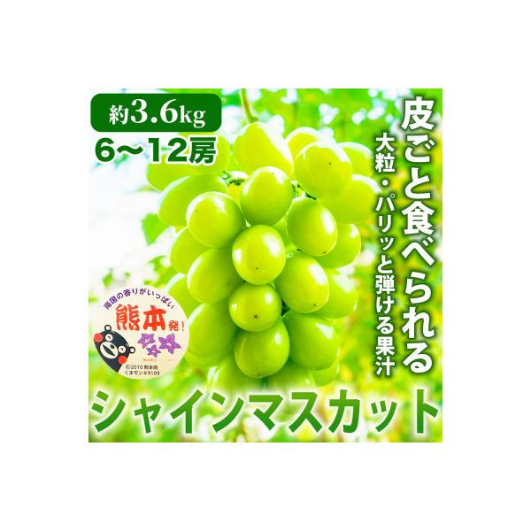 山鹿市 【先行予約】熊本県産 上品な甘さ人気のブドウ! シャインマスカット ぶどう 6〜12房 約3.6kg