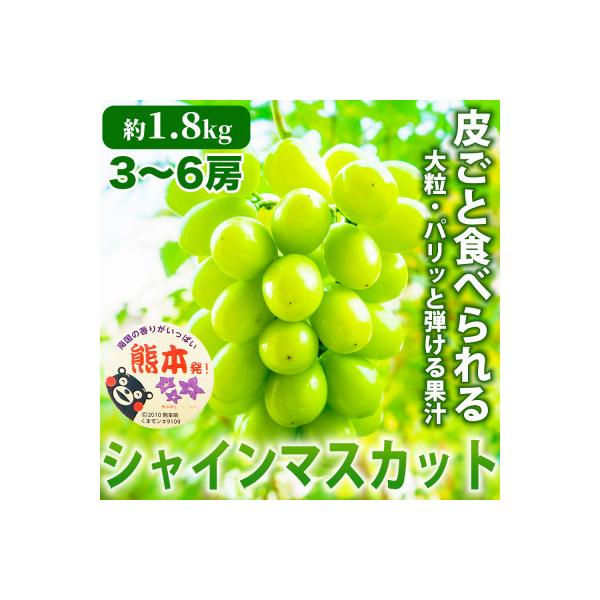 山鹿市 【先行予約】 熊本県産 上品な甘さ人気のブドウ! シャインマスカット ぶどう 3〜6房 約1.8kg