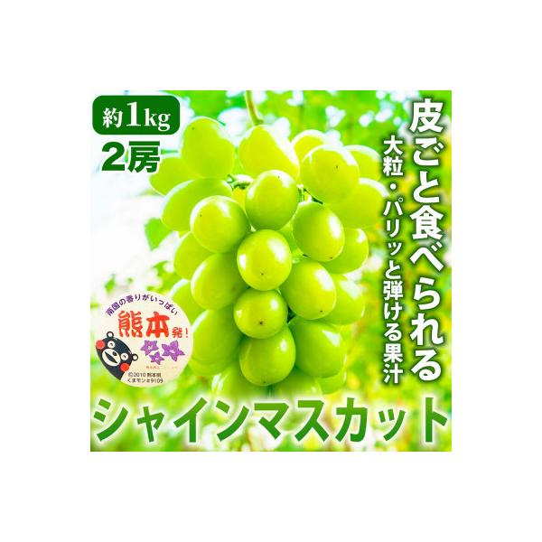 山鹿市 【先行予約】熊本県産 パリじゅわ!人気のブドウ!シャインマスカット 約1kg (2房) (山鹿市)