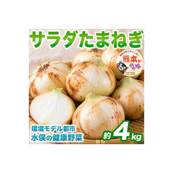 水俣市 【先行予約】みずみずしくて優しい甘さ!サラダ玉ねぎ 3L〜Sサイズ 約4kg (水俣市)