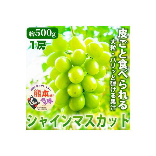 宇城市 【先行予約】熊本県宇城市産 甘みが強く香り高い! シャインマスカット 約500g(1房) (宇城市)