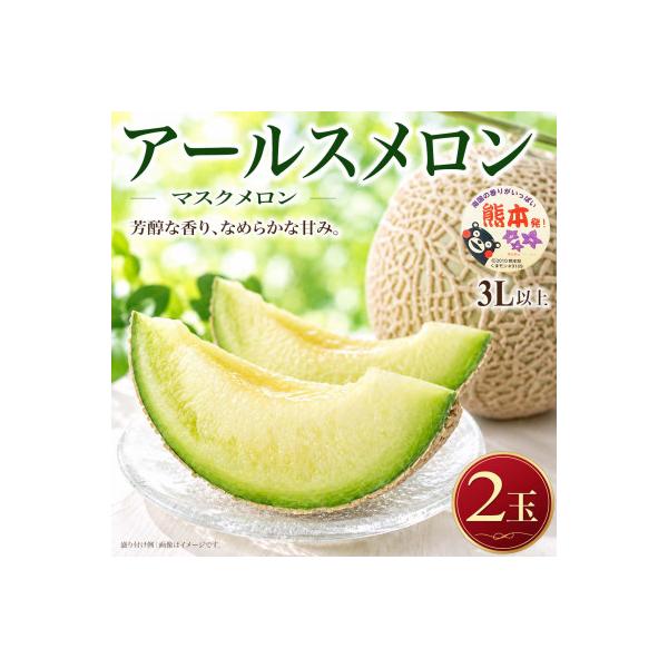 菊池市 熊本県産 上品な甘さ とろける果肉 アールスメロン 3L以上 2玉 約3.4kg (菊池市)